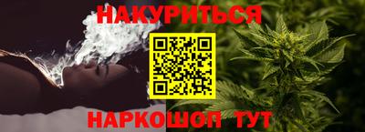 индика Шелехов