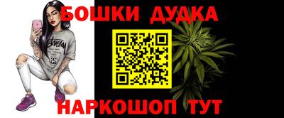 индика Шелехов