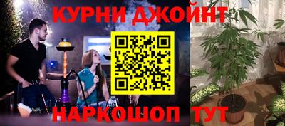 индика Шелехов