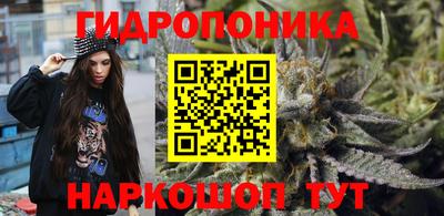 прущие крисы Шебекино