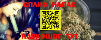 индика Шелехов