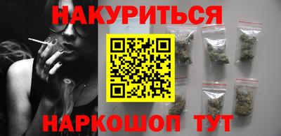 индика Шелехов