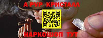 индика Шелехов