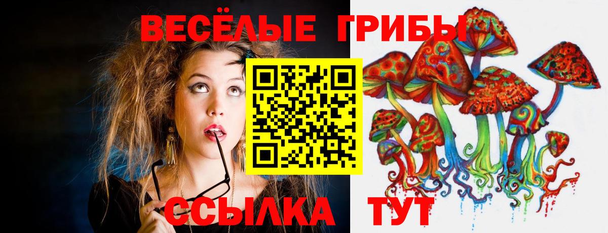 Псилоцибиновые грибы Cubensis Астрахань