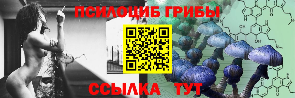Псилоцибиновые грибы Psilocybe  Вход с VPN  Астрахань 