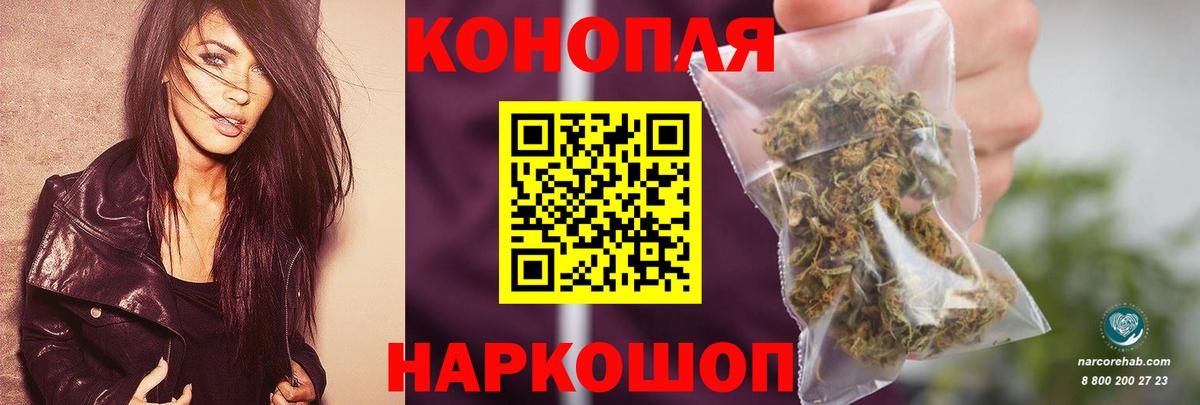 Галлюциногенные грибы Астрахань